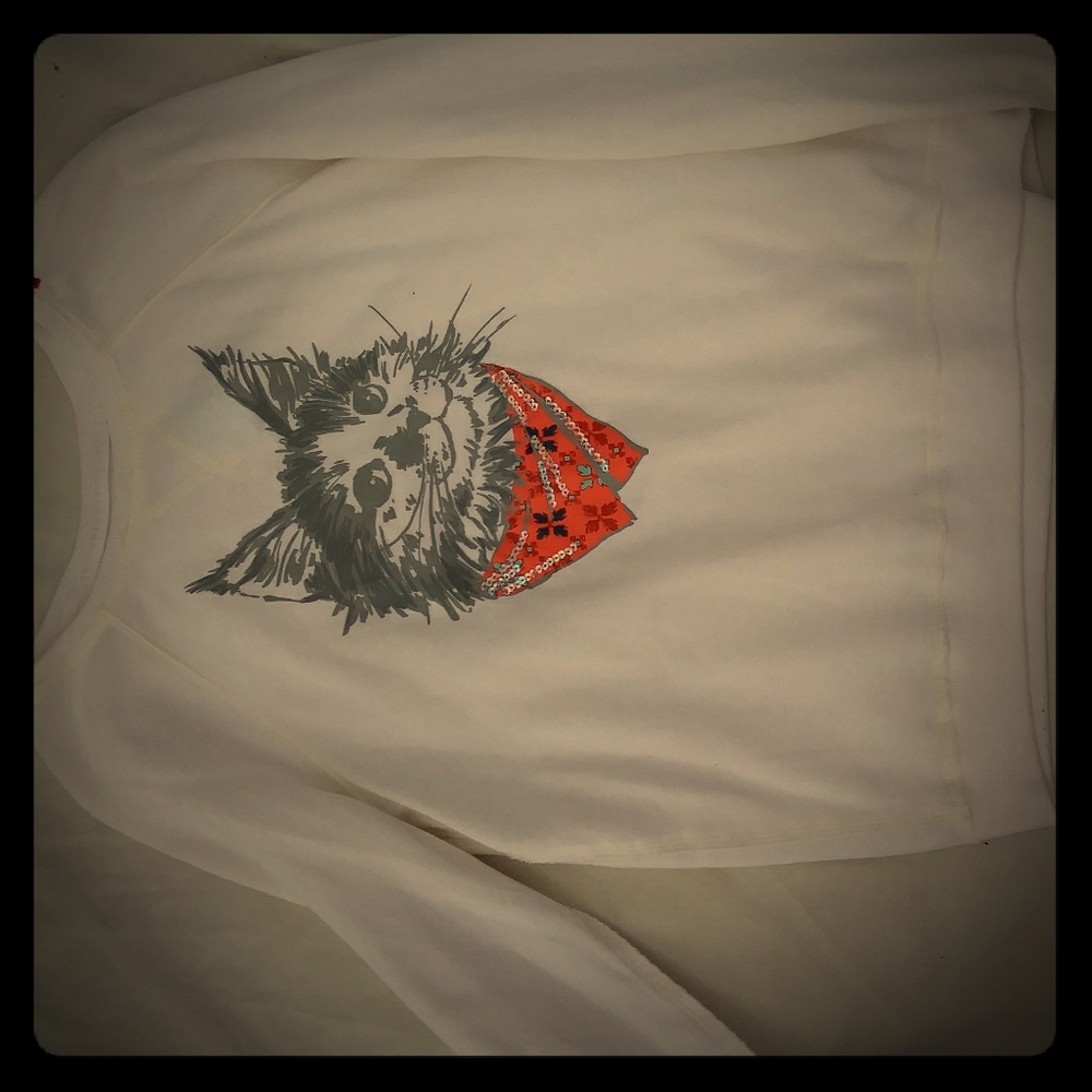 Hollister kitty Kat shirt!!!
